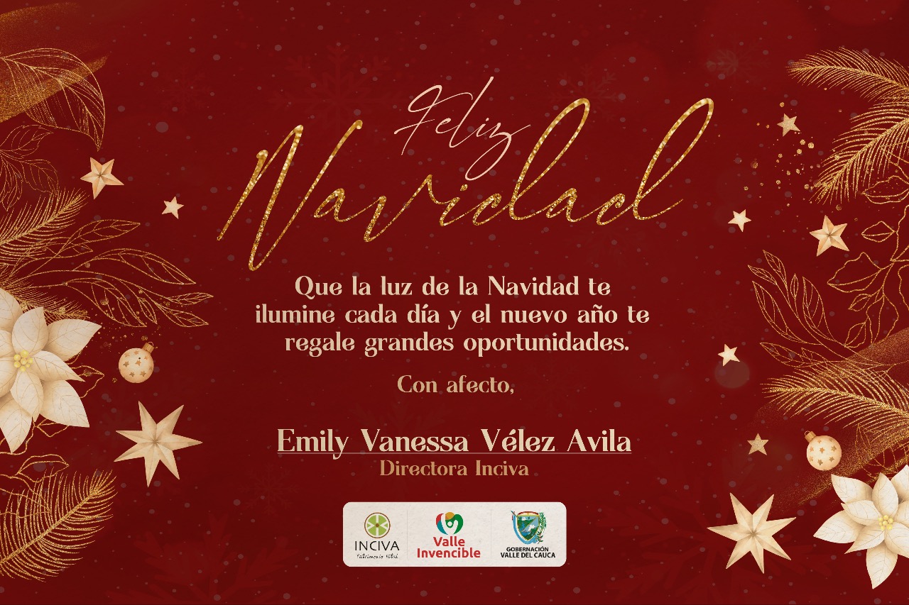 117407-navidad 2022